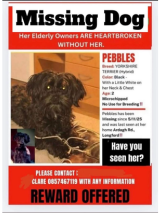 Pebbles Pebbles