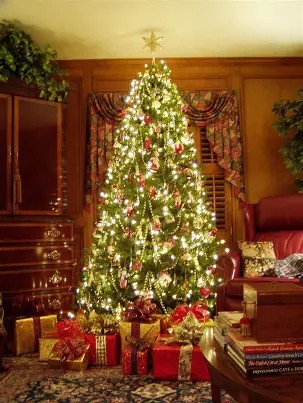 Christmas-Tree Christmas-Tree