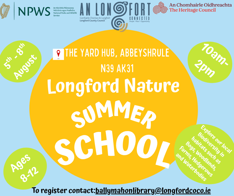 Summer-school-poster